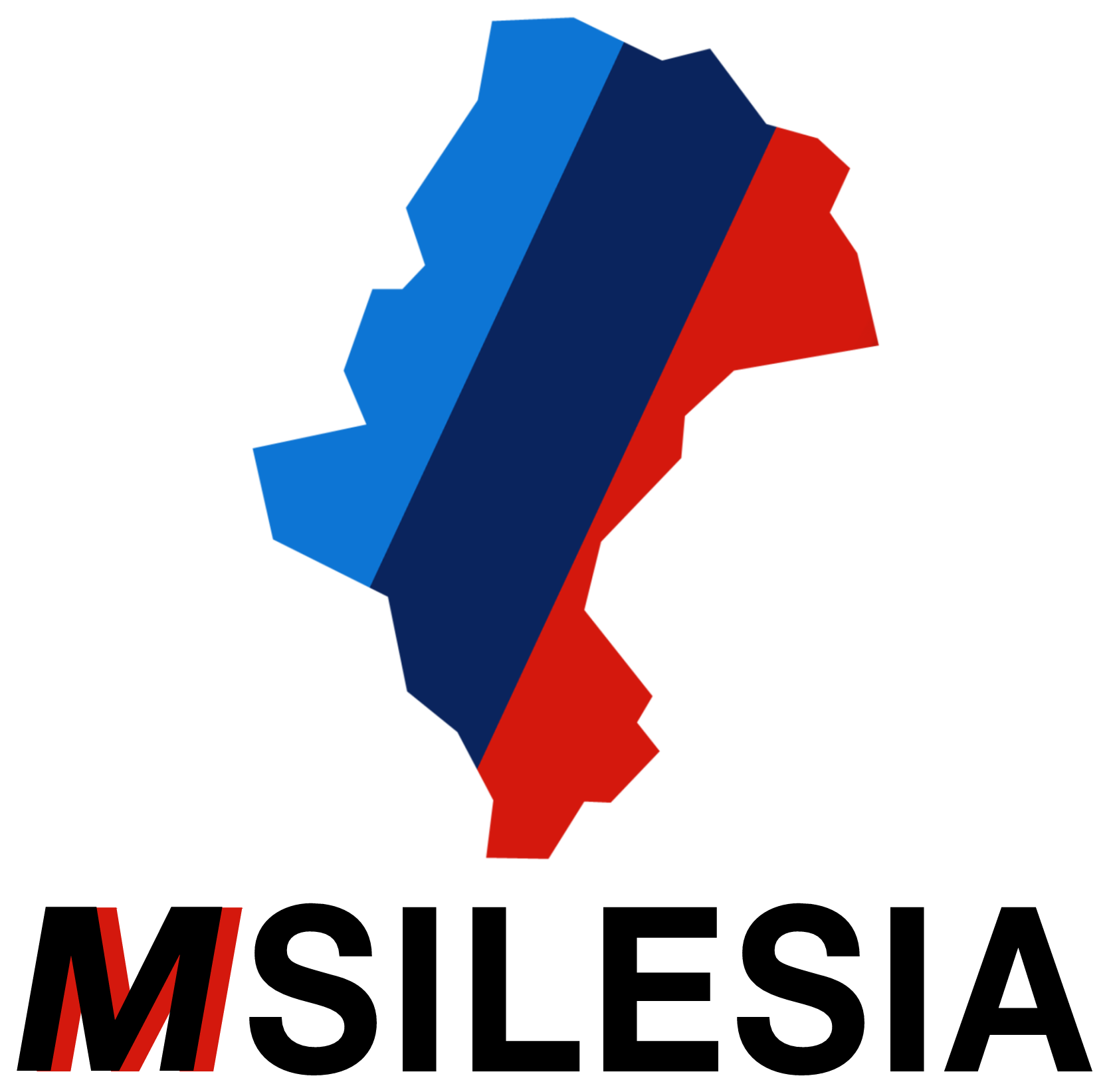 Msilesia – logo firmy